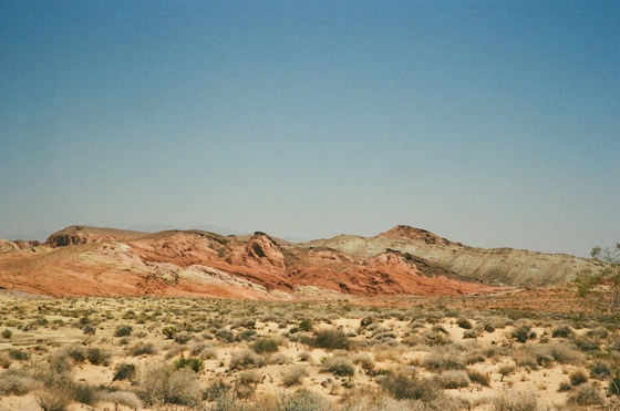 Red Cliffs National Conservation Area 