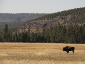 Yellowstone National Park