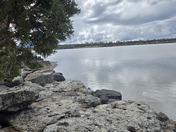 Coconino National Forest