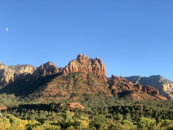 Coconino National Forest
