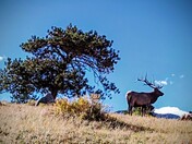 Rocky Mountain National Park 
