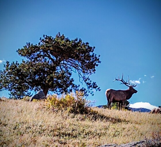 Rocky Mountain National Park 