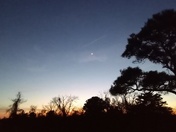 Assateague Island National Seashore 