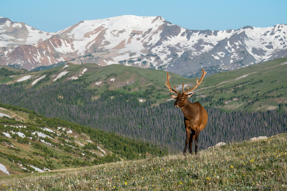 Rocky Mountain National Park