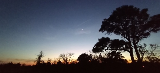 Assateague Island National Seashore
