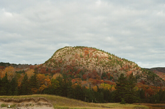 Acadia National Park 