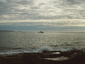 Acadia National Park 