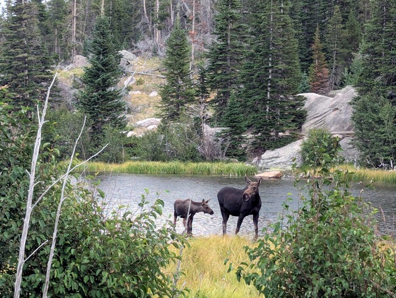 Rocky Mountain National Park