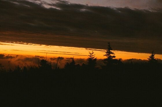 Acadia National Park 