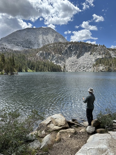Inyo National Forest