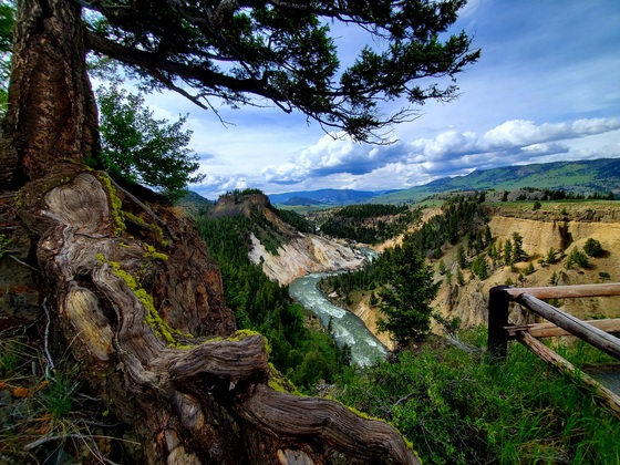 Yellowstone National Park