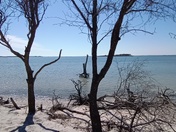 Assateague Island National Seashore