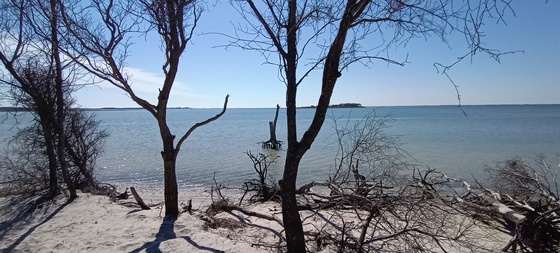 Assateague Island National Seashore