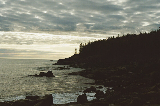 Acadia National Park 