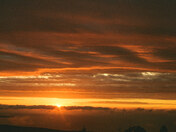Acadia National Park 