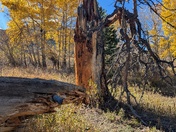 Rocky Mountain National Park