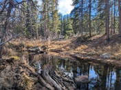 Rocky Mountain National Park