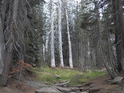 Yosemite National Park 