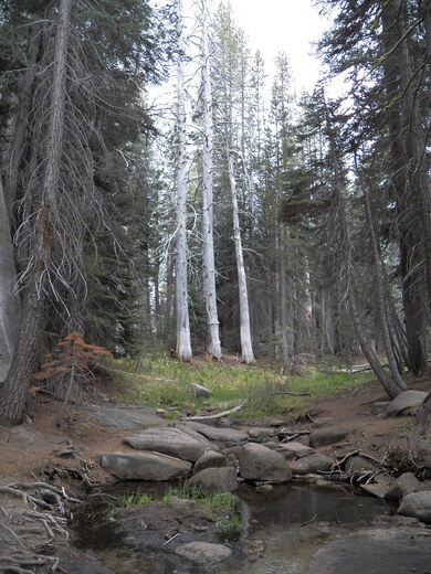 Yosemite National Park 