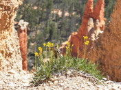 Bryce Canyon National Park 