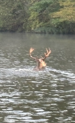 Holt Lake (Alabama)