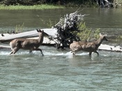 Glacier National Park 