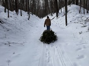 Chequamegon-Nicolet National Forest
