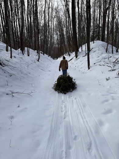 Chequamegon-Nicolet National Forest