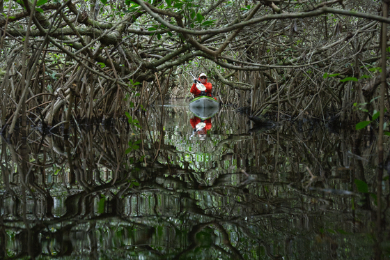 Big Cypress National Preserve