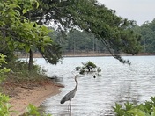 Watsadler Campground