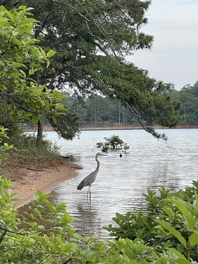 Watsadler Campground