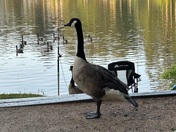 Watsadler Campground