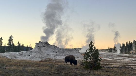 Yellowstone National Park