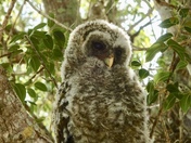 Everglades National Park