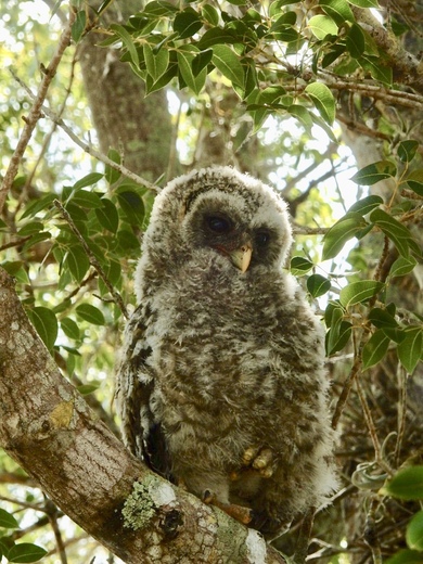 Everglades National Park