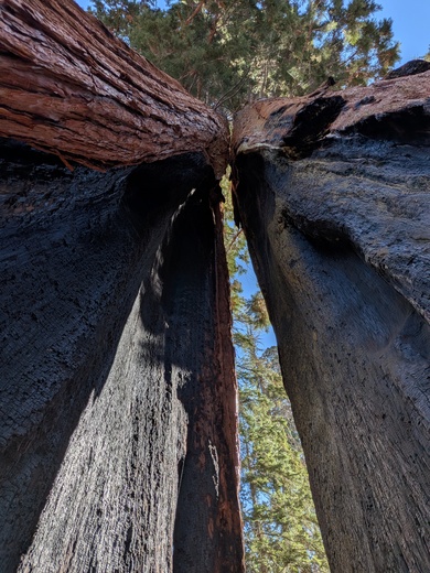 Sequoia National Park