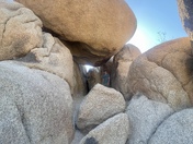 Joshua Tree