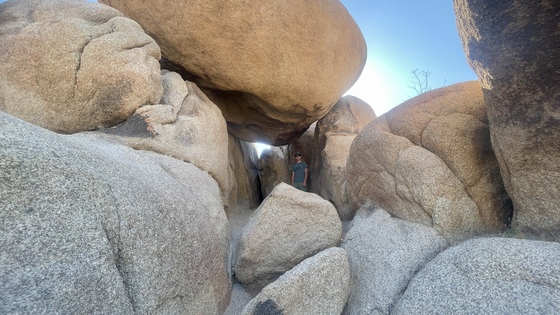 Joshua Tree