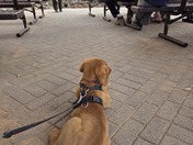 Montezuma Castle National Monument