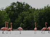 Everglades National Park