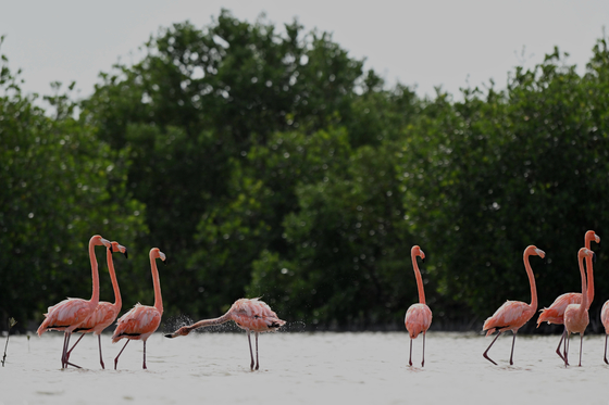 Everglades National Park
