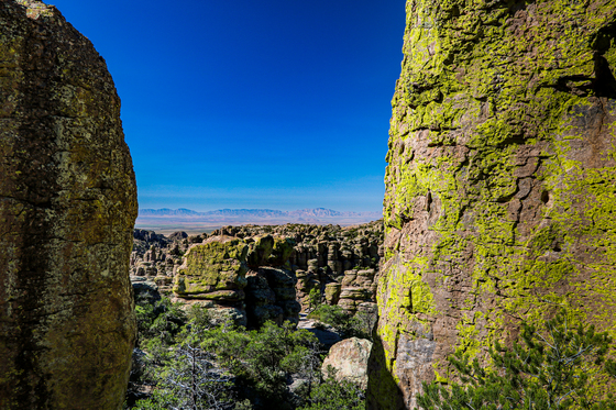 Chiricahua National Monument