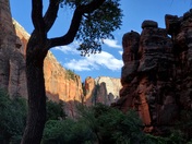 Zion National Park 