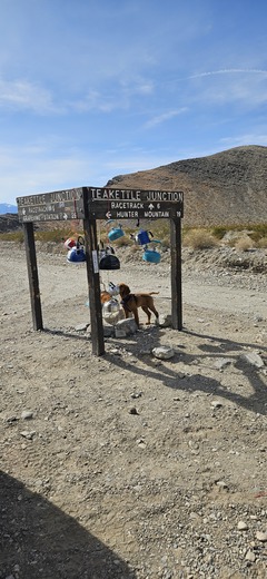Death Valley National Park
