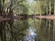 Congaree National Park
