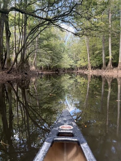Congaree National Park
