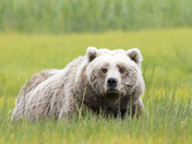 Lake Clark National Park and Preserve