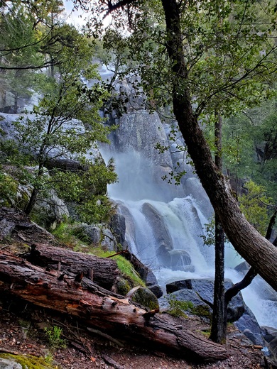Yosemite National Park 