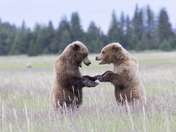Lake Clark National Park and Preserve