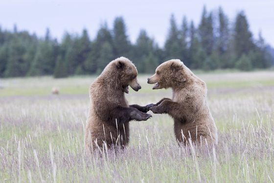 Lake Clark National Park and Preserve
